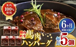 【ふるさと納税】【全6回定期便】国内肥育 冷凍 馬肉ハンバーグ 計1kg ( 200g × 5個 ) デミグラスソース入り 小分け 個包装 惣菜 湯煎 