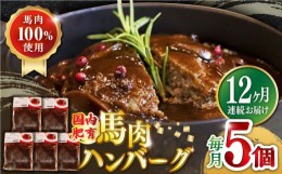 【ふるさと納税】【全12回定期便】国内肥育 冷凍 馬肉ハンバーグ 計1kg ( 200g × 5個 ) デミグラスソース入り 小分け 個包装 惣菜 湯煎 