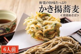 【ふるさと納税】常陸秋そば 手打ち 生蕎麦 6人前 かき揚げ付 国産 生 そば 蕎麦 寿多庵