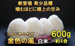 【ふるさと納税】【白米 600g】新登場の高級米　令和5年産  岩手県奥州市産 金色の風【７日以内発送】 おこめ ごはん ブランド米 精米 白