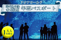 【ふるさと納税】アクアワールド茨城県大洗水族館 年間パスポート 大人1名 大洗 チケット 券 アクアワールド 水族館