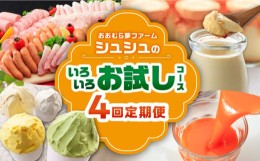 【ふるさと納税】【4回定期便】シュシュのいろいろ気軽にお試しコース / ジュース ハム プリン アイス ジェラート / 大村市 / おおむら夢