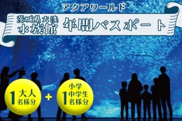 【ふるさと納税】アクアワールド茨城県大洗水族館 年間パスポート 大人1名 小・中学生1名 大洗 チケット 券 アクアワールド 水族館