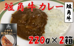 【ふるさと納税】小国短角牛カレー（1人前×2箱）