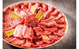 【ふるさと納税】【自社農場和牛】富永和牛おうちで焼肉セット