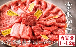 【ふるさと納税】【自社農場和牛】富永和牛おうちで焼肉ボリュームセット