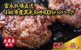 【ふるさと納税】【自社農場和牛】富永和牛手作りハンバーグ（ハンバーグ 牛肉 牛肉100% 国産 冷凍 調理済 宮崎 惣菜 小林市）