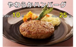 【ふるさと納税】【A12-25】やわらかハンバーグ120g & 40g セット