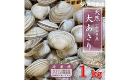 【ふるさと納税】訳あり 南知多町産 活大あさり 約1kg 大なら4個前後 小なら10個前後 不揃い※個数は選べません