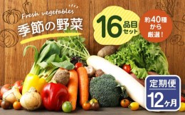 【ふるさと納税】【定期便12回】季節の野菜 16品目 セット 野菜 詰め合わせ おまかせ