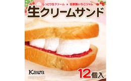 【ふるさと納税】■パン工房カワの生クリームサンド 12個入【広川グルメ市場】【kwa112-nama-12】