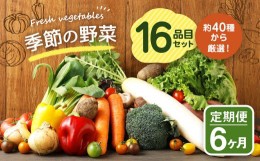 【ふるさと納税】【定期便6回】季節の野菜 16品目 セット 野菜 詰め合わせ おまかせ