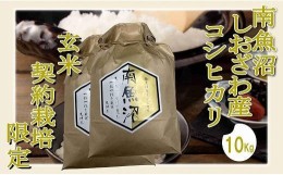 【ふるさと納税】【玄米１０Kg】●玄米● 生産者限定 南魚沼しおざわ産コシヒカリ