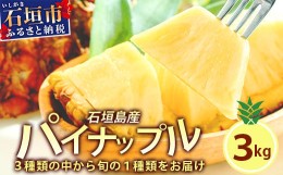 【ふるさと納税】 【先行予約】石垣島産パイナップル　2〜6個　約3kg 《2024年5月〜8月上旬から順次発送》【ふるさと納税 パイナップル 