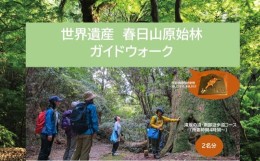 【ふるさと納税】体験チケット 【世界遺産 春日山原始林ガイドウォーク】 ペア 2名1組 ガイド券 ギフトチケット 滝坂の道・南部遊歩道コ