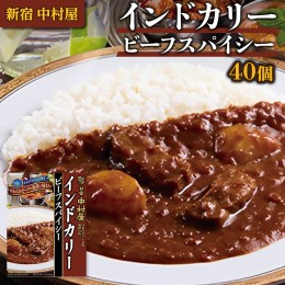 【ふるさと納税】新宿 中村屋 インドカリー ビーフスパイシー 40個 人気 洋食 レトルト 時短 カレー インドカレー スパイシーカレー 長期