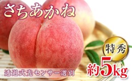 【ふるさと納税】福島の桃 さちあかね特秀 約5kg（15〜18玉） 伊達市産桃 透過式光センサー選別 先行予約 フルーツ 果物 もも モモ momo 