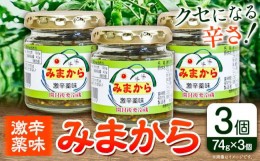 【ふるさと納税】激辛薬味みまから みまから 3個 セット 《30日以内に出荷予定(土日祝除く)》有限会社美馬交流館 徳島県 美馬市 みまから