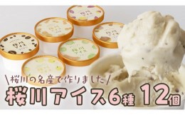 【ふるさと納税】【生産者支援】桜川アイス 6種 12個 セット  数量限定 食べ比べ 90ml×6種類 桜川市のこだわり素材を使用 アイス あいす