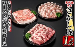 【ふるさと納税】2297 鹿屋産 さかし豚 3種盛り お試しセット 1kg  豚肉 豚肉セット 豚肉詰め合わせ 豚肉バラエティセット 真空パック