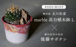 【ふるさと納税】多治見市×春日井市コラボ 【美濃焼】 陶芸家「北川和喜」 marble 高台植木鉢 L × 【日本有数のサボテンの生産地】 春