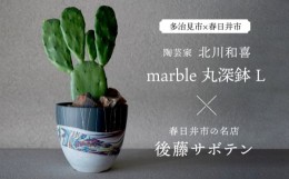 【ふるさと納税】多治見市×春日井市コラボ 【美濃焼】 陶芸家「北川和喜」 marble 丸深鉢 L × 【日本有数のサボテンの生産地】 春日井