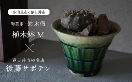 【ふるさと納税】多治見市×春日井市コラボ 【美濃焼】 陶芸家「鈴木徹」 植木鉢 M × 【日本有数のサボテンの生産地】 春日井市の名店 