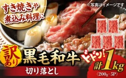 【ふるさと納税】【訳あり】 切り落とし 1.0kg (200g×5) 長崎和牛 黒毛和牛  【夢ファームシュシュ】 [WF20] 肉 牛肉 しゃぶしゃぶ すき