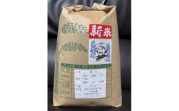 【ふるさと納税】令和6年度産 【新米】コシヒカリ ５kg×1袋