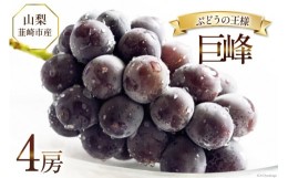 【ふるさと納税】【先行受付】ぶどう 韮崎市産 巨峰 約450g×4 計約1.8kg  [Inakakara 山梨県 韮崎市 20742323] フルーツ 果物 ブドウ 葡