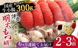 【ふるさと納税】【全6回定期便】博多明太もつ鍋セット（2〜3人前）《築上町》【株式会社ベネフィス】 [ABDF047] 82000円 