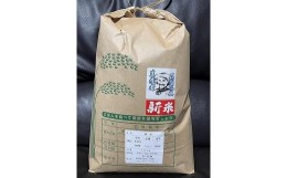 【ふるさと納税】令和5年度産 【新米】あいちのかおり10kg