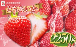 【ふるさと納税】【先行予約】鮮度抜群！朝採れ旬のとちあいか  750g以上×3箱 真岡市 栃木県 送料無料 いちご イチゴ 苺 ストロベリー 