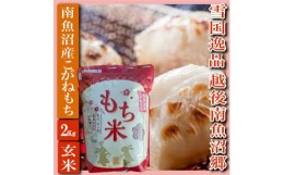 【ふるさと納税】【もち玄米２Kg】雪国逸品 越後南魚沼郷 南魚沼産こがねもち