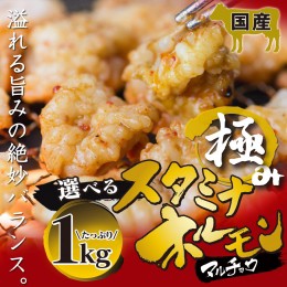 【ふるさと納税】国産 極みの スタミナ ホルモン マルチョウ 選べる 1kg タレ揉み 牛しろ タレ揉み＋牛しろ セット 250×4袋 小分け タレ