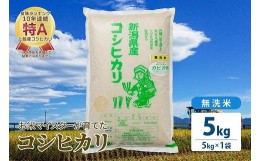 【ふるさと納税】令和5年産 お米マイスターが育てた上越産コシヒカリ5kg(5kg×1)無洗米　精米