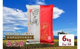 【ふるさと納税】令和5年産お米マイスターが育てた新潟県認証特別栽培米「新之助」上越頸城産 6kg(2kg×3)精米