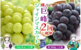 【ふるさと納税】＜2024年先行予約＞【山梨県産 旬の果物 定期便】種無し巨峰 シャインマスカット 2回送り 180-008  ｜ぶどう 種無し 巨