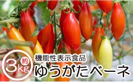 【ふるさと納税】機能性表示食品 ミニトマト ゆうがたベーネ 3kg - ミニトマト プチトマト フルーツトマト ギフト のし対応 高糖度 お歳