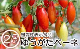 【ふるさと納税】機能性表示食品 ミニトマト ゆうがたベーネ 2kg - ミニトマト プチトマト フルーツトマト ギフト のし対応 高糖度 お歳