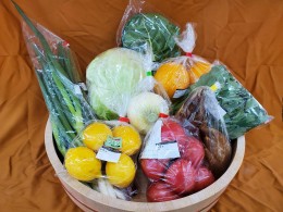 【ふるさと納税】GF-06 旬の野菜と果物のふるさと便