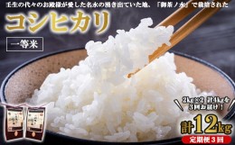 【ふるさと納税】《令和5年産》【3ヵ月定期便】コシヒカリ 2kg×2 計4kg 一等米 お殿様のお米 お米 おこめ こしひかり コメ こめ ご飯 ご