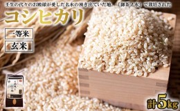 【ふるさと納税】《令和5年産》コシヒカリ 玄米 2.5kg×2 計5kg 一等米 お殿様のお米 米 お米 おこめ こしひかり コメ こめ ご飯 ごはん 