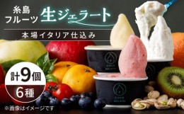 【ふるさと納税】糸島 フルーツ 生ジェラート 9個セット 糸島市 / COCO GELATO [AON001]