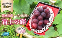 【ふるさと納税】＜2024年先行予約＞山梨県産 富士の輝 1房（約600g） 180-011