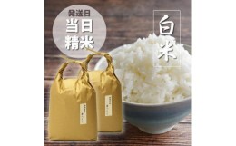 【ふるさと納税】福岡の食卓ではおなじみの人気のお米「夢つくし」5kg×2袋 [10kg] [白米]【令和5年産 福岡県産米 夢つくし 特Ａ 評価 10