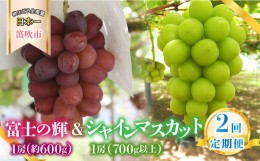 【ふるさと納税】＜2024年先行予約＞【山梨県産 旬の果物 定期便】 シャインマスカット 富士の輝  2回送り 180-012 | ぶどう 山梨 種無し