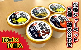 【ふるさと納税】塩姫シャーベット ５種詰め合わせセット 100ml×10個 柚子 檸檬 トマト 生姜 小豆 ミネラル 田野屋塩二郎 天日塩 アイス