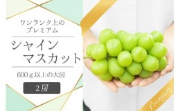 【ふるさと納税】甲州市産プレミアムシャインマスカット2房 約1.2kg【2024年発送】（VYD）B18-886