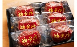 【ふるさと納税】神戸赤ふじ　神戸牛ハンバーグセット　（100g×６個入）